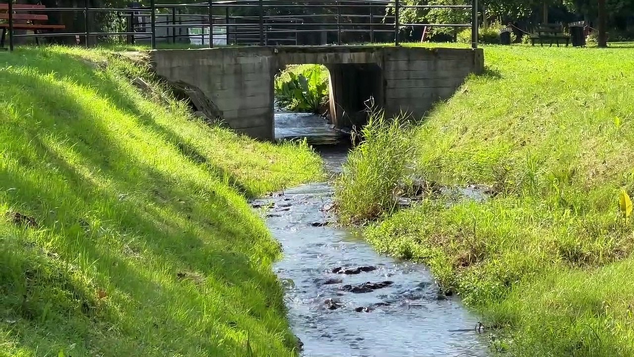OSWIECIM  CZYSTA WISLA AKCJA