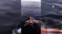 Aysu Türkoğlu Kuzey Kanalı'nı yüzerek geçen ilk Türk kadın ve en genç Türk oldu