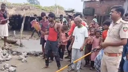 बहराइच: बंगले से जब निकलने लगे जहरीले सांप,ग्रामीणों में मच गया हड़कंप