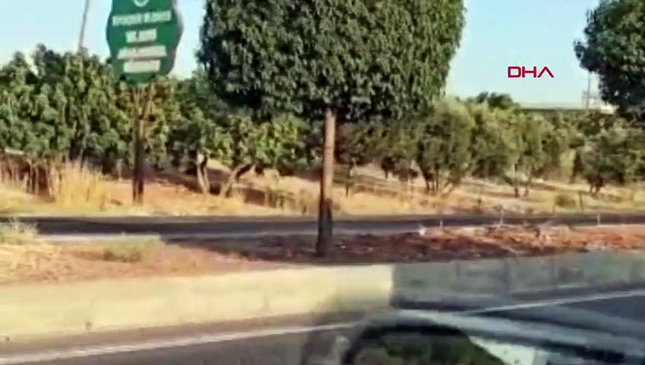 Des migrants illégaux ont arrêté le camion à Şanlıurfa et se sont enfuis vers des vergers de pistaches