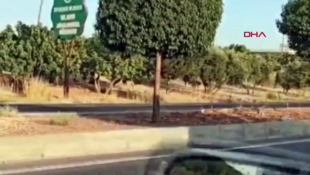 Des migrants illégaux ont arrêté le camion à Şanlıurfa et se sont enfuis vers des vergers de pistaches