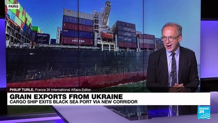 Grain facilities damaged in Russian attacks on Ukraine's Danube port