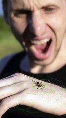 Spider-Man’s Most Natural Habitat Is Found Here