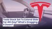 Tesla Stock Set To Extend Slide For 4th Day? What's Dragging It Down?