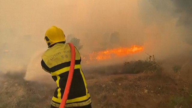 Pyrénées-Orientales : l’incendie « loin d’être éteint », plus de 500 hectares ravagés par les flammes