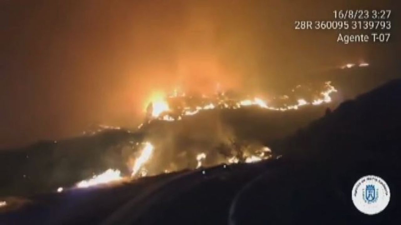 Spagna, grande incendio boschivo sull'isola di Tenerife