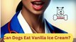 Can Dogs Eat Vanilla Ice Cream  | Dog Food Review | Zudaan