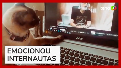 Gata 'procura' por tutor que morreu em computador, e cena emociona nas redes sociais