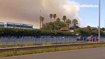 El grave incendio de Tenerife afecta ya a 800 hectáreas y obliga a movilizar hidroaviones