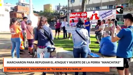 Marcharon para repudiar el ataque y muerte de la perra Manchitas