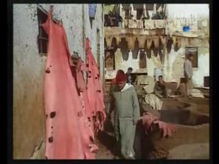 LES TANNEURS DE FES/Maison du Maroc