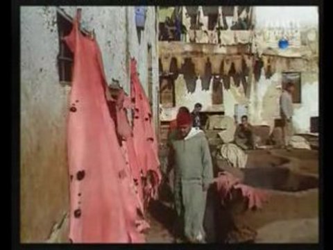 LES TANNEURS DE FES/Maison du Maroc