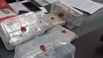 उदयपुर: अवैध हथियार और मादक पदार्थ के खिलाफ पुलिस की बड़ी कार्रवाई, लाखों रुपए जब्त