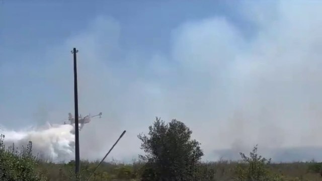 In fiamme cinque ettari di macchia mediterranea nel Tarantino