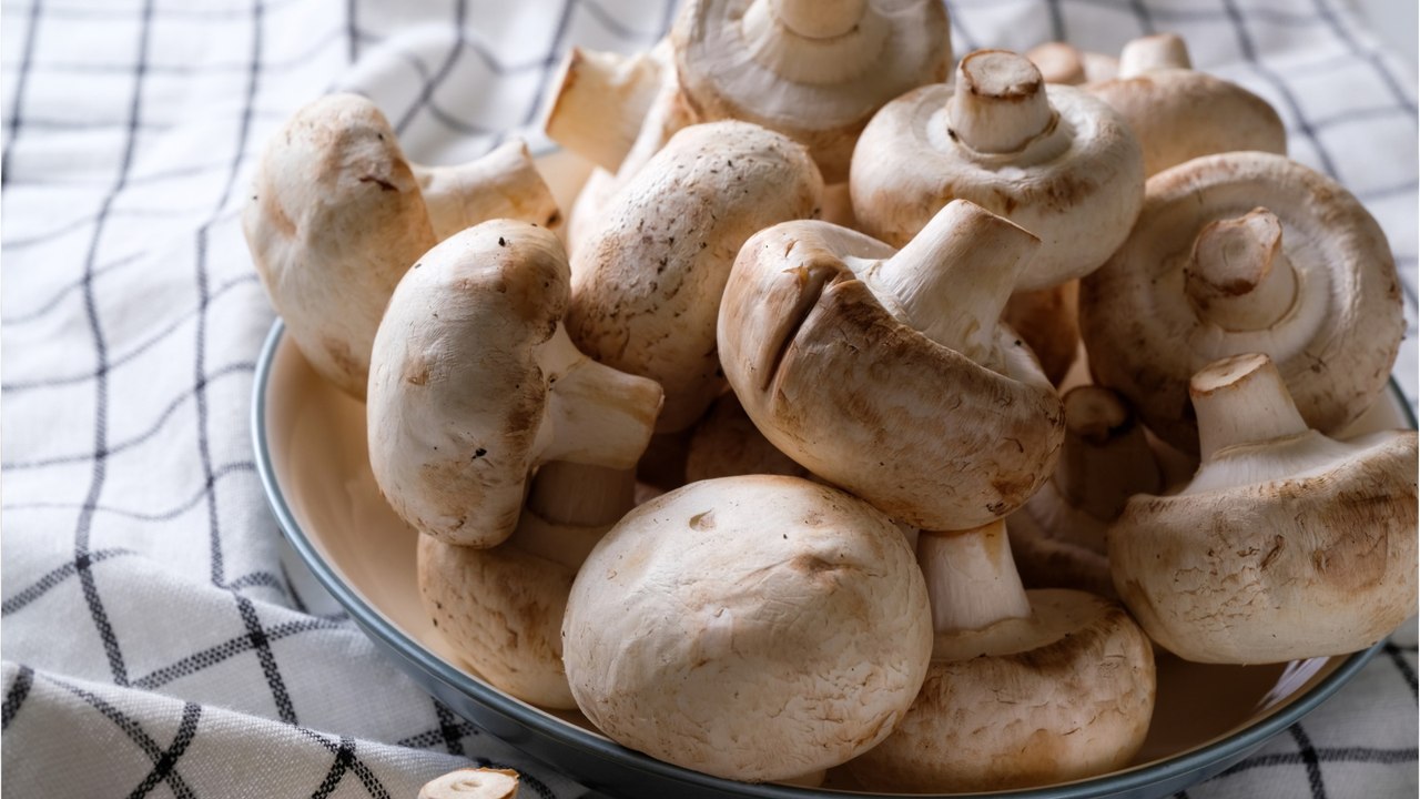 GALA VIDEO - Déjeuner mortel aux champignons vénéneux : cette affaire qui passionne l’Australie