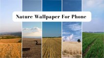 Nature Wallpaper For Phone  || Beautiful Wallpaper || Mobile Wallpapers For Nature Lovers