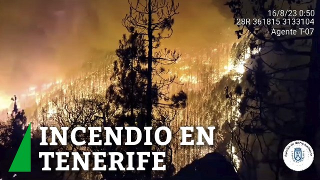 Declarado un fuego en Arafo (Tenerife) que obliga a desalojar 4 poblaciones