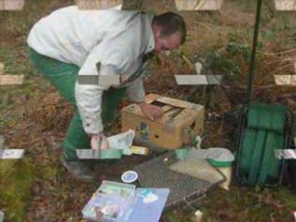 Peche de la Carpe :Session eau d'heure mars 2008