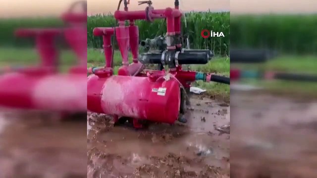 85 moutons et chèvres ont péri à cause de l'eau mélangée à des médicaments à Mardin