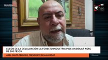 Luego de la devaluación la foresto industria pide un dólar agro de 500 pesos