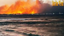 Berita Viral : Kebakaran Hutan Menghancurkan Kota Hawaii