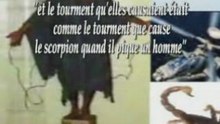 5 ème trompette