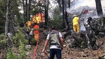 Akseki'de kontrol altına alınan orman yangınında 45 hektar alan zarar gördü