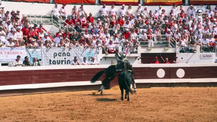 Corrida à cheval du 15 août 2023