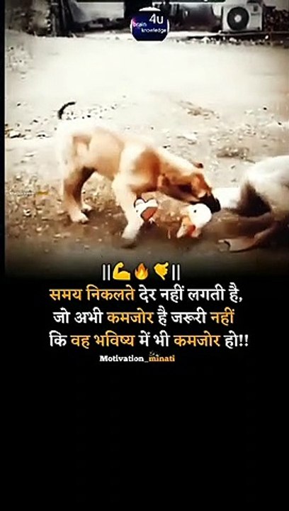 ------_. _Follow -- _motivation_minati_Follow -- _motivation_minati_Follow -- _motivation_minati _. _Share with your friends and family.__Motivation__Dailymotionalquotee__Motivationalquotes__Quotes__Inspirational__Hindimotivation__Motivation(