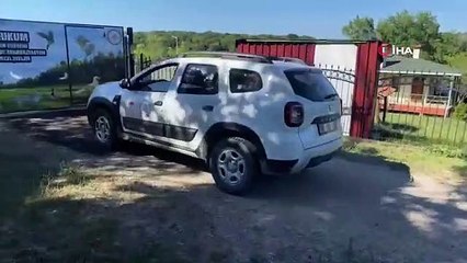 Leylek yavruları tedavi edilerek doğaya salındı