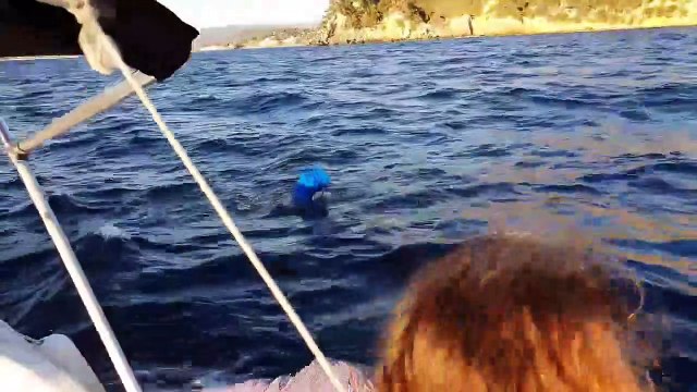 Il découvre un dauphin coincé dans une bouée au large de saint-cyr-sur-mer