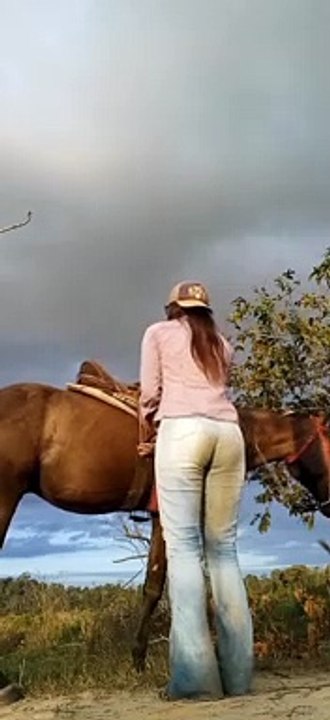 Quand seller le cheval ne se passe pas comme prévu