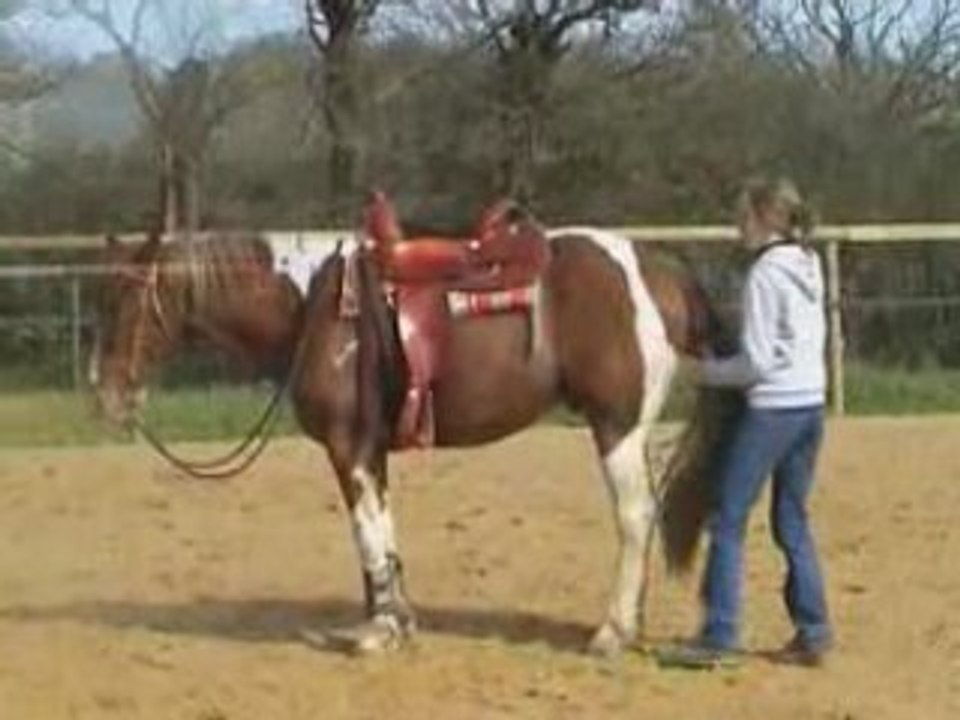 Randy-travail mars08