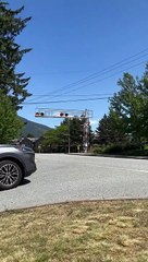 Celebrity Trains, They're Just Like Us