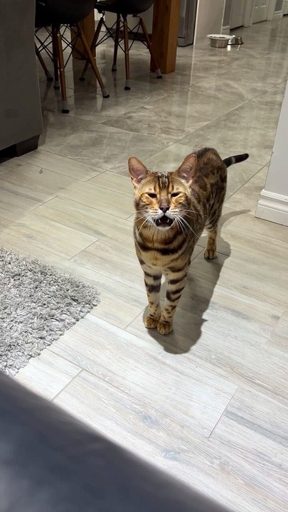 George dit que c'est l'heure du coucher