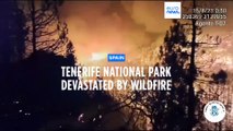 Wildfires rage on the Spanish holiday island of Tenerife