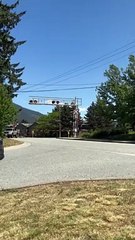 Celebrity Trains, They're Just Like Us