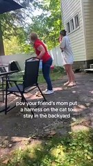 Le chat panique à cause du harnais