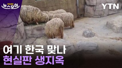 [뉴스모아] 계속되는 비극…한국에 있는 지옥 / YTN