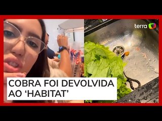 Amigas encontram cobra em alface comprado em mercado