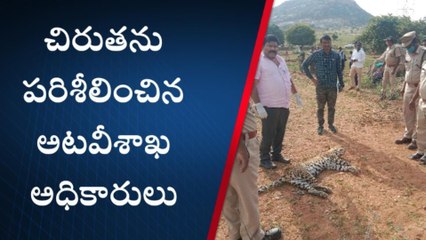 సత్యసాయి జిల్లా: అనుమానాస్పద స్థితిలో చిరుత మృతి.. రంగంలోకి దిగిన అధికారులు