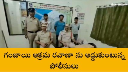 భద్రాచలం: భారీగా గంజాయి పట్టివేత.. ముగ్గురు అరెస్టు