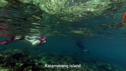 Snorkeling at Karampuang island, Mamuju, west Sulawesi, Indonesia