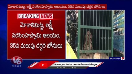 Cheetah Trapped In Cage _ TTD _ V6 News (3)