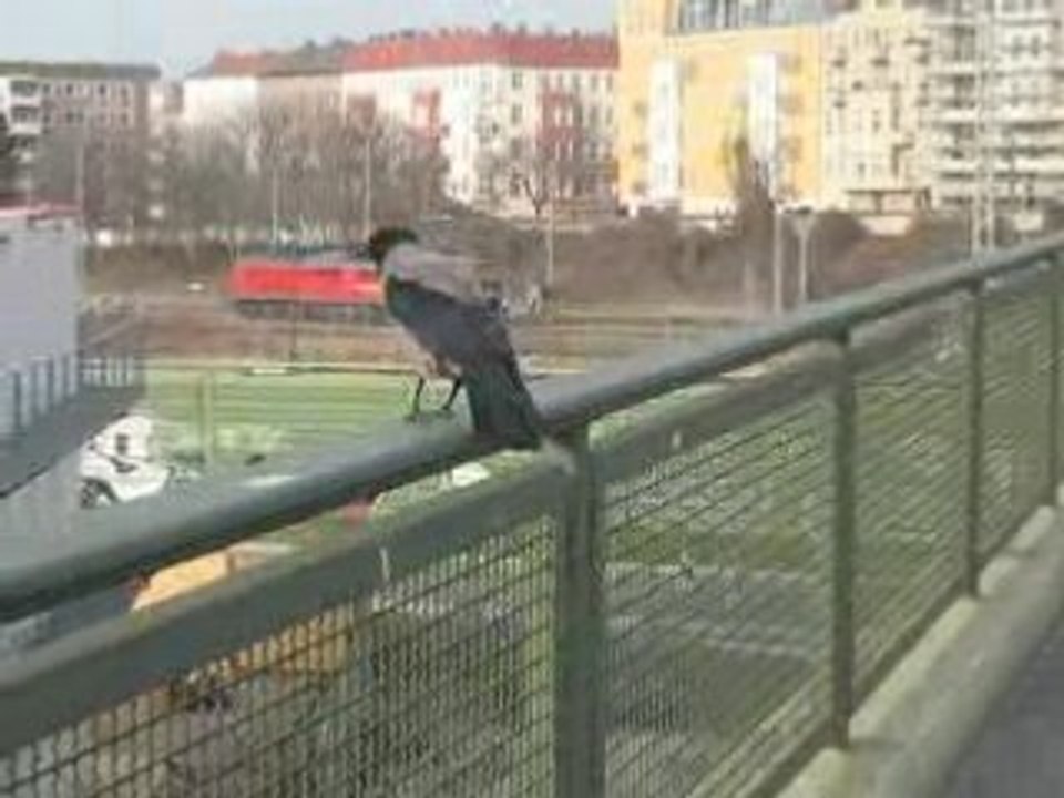 Sur un pont à Berlin...