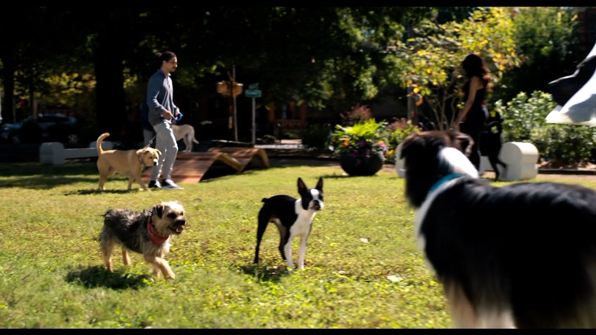 ⁣Bug Introduces Reggie To His Friends Scene