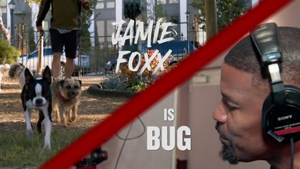 Will Ferrell and Jamie Foxx Strays Voice Acting Featurette