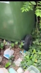 ¡Polémico! Constructor destroza el techo de una casa porque no le pagaron por su trabajo