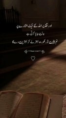 Taqdeer ❤️✨ Islamic Status ✨ Best Urdu Quotes