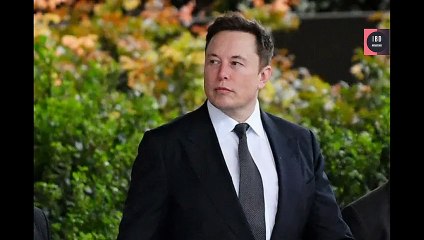 Elon Musk on cage fight with Mark Zuckerberg, Who Will Win? | I B D